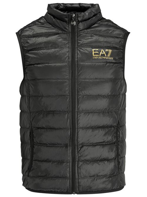 EMPORIO ARMANI EA7 8NPQ01 PN29Z/0208