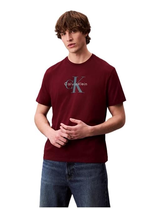 CALVIN KLEIN JEANS LV04RB862G/VLP