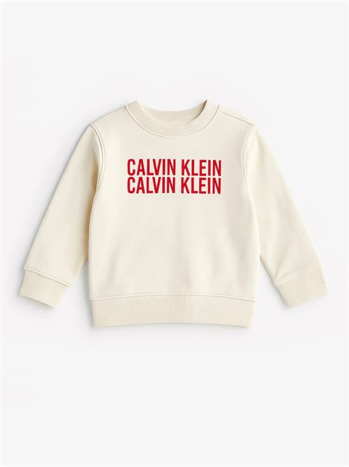 CALVIN KLEIN IB0IB02527J/PGB