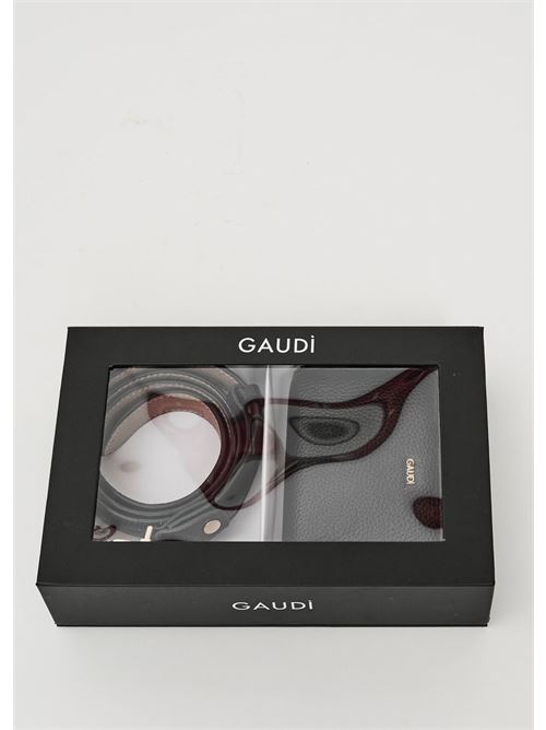 GAUDI V5AI-12530/V0001