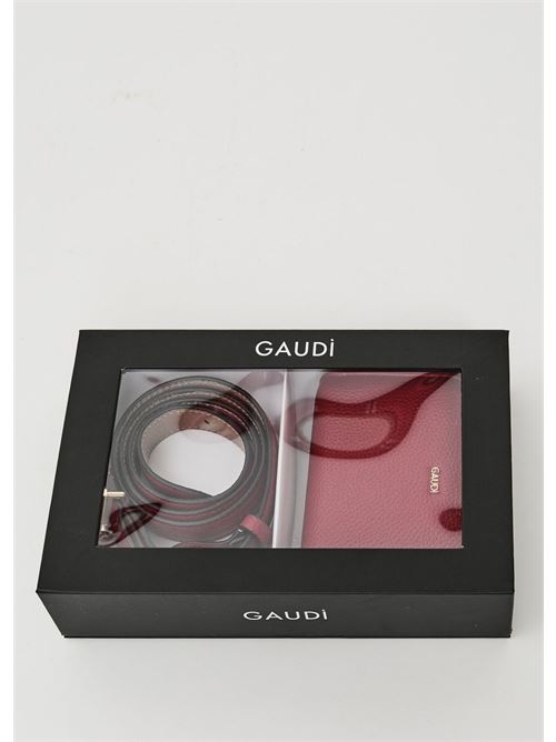 GAUDI V5AI-12530/V0018