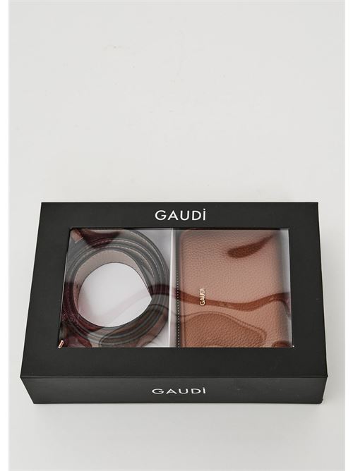 GAUDI V5AI-12530/V0045