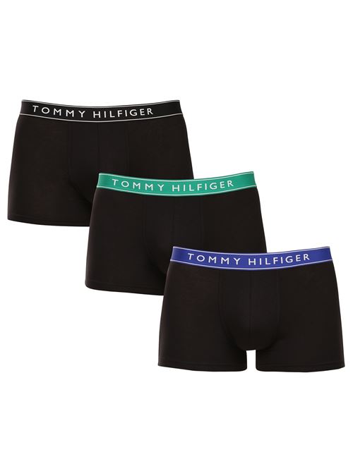 TOMMY HILFIGER UM0UM03457/0VD