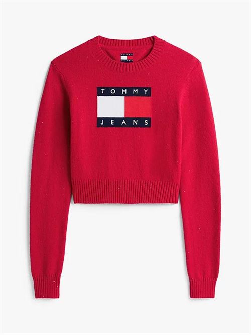 TOMMY JEANS DW0DW21690/XJP