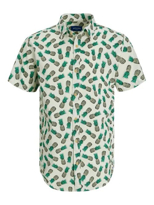 JACK AND JONES 12233538/Island Green