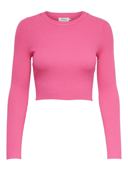CLOTHING SWEATER ONLY 15285994/Carmine Rose