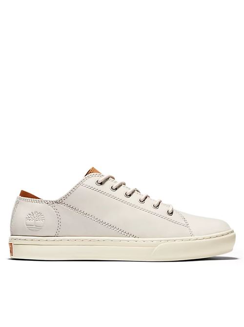 TIMBERLAND TB0A1TJB/E021