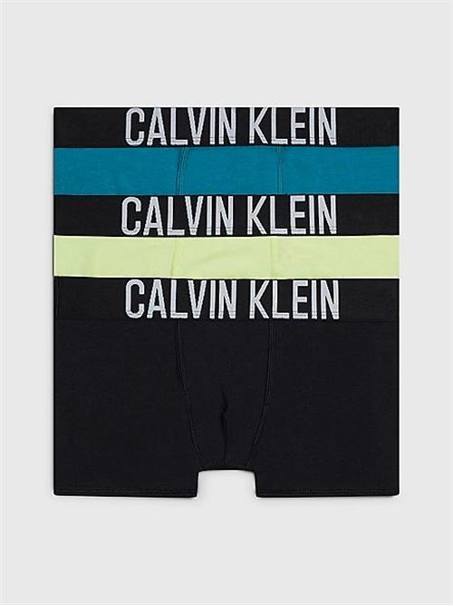 CALVIN KLEIN B70B700462T/0SW