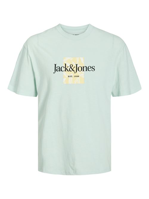 JACK AND JONES 12250436/Skylight