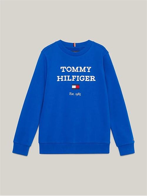 TOMMY HILFIGER KB0KB08713J/C66