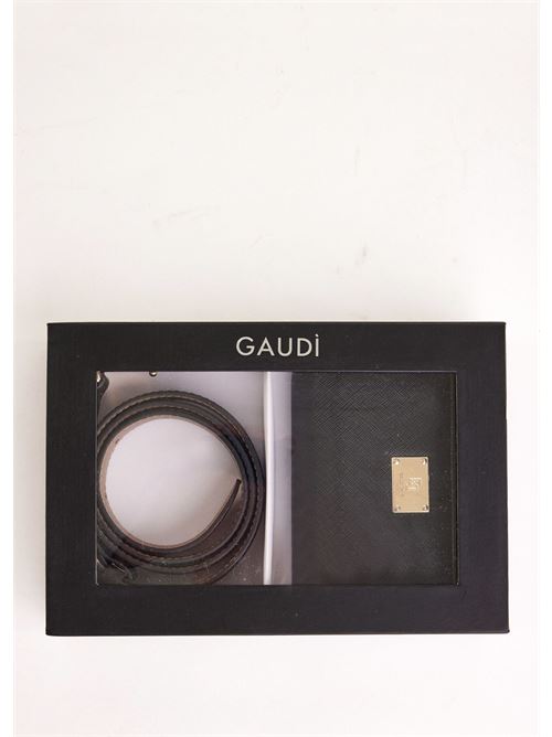 GAUDI V5AE-12260/V0001