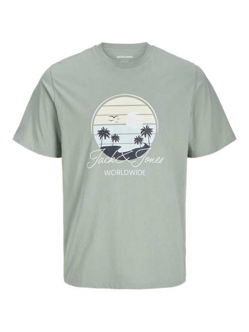 JACK AND JONES 12269418/Iceberg Green