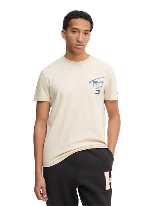 TOMMY JEANS DM0DM21106/ACG