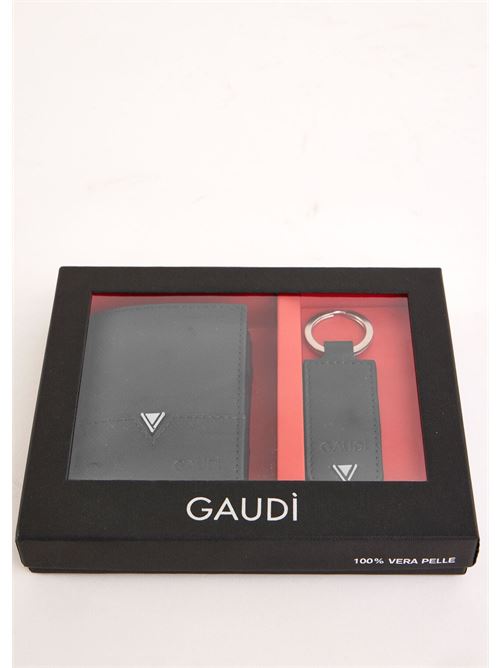 GAUDI