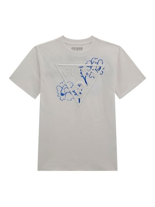 120505262